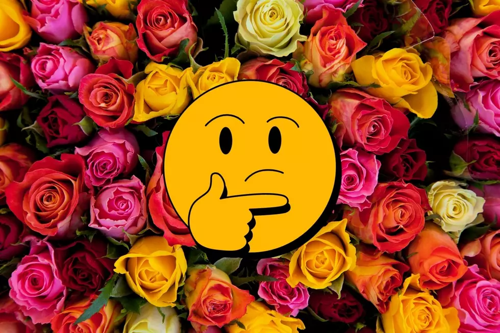 Make Sure to Know What the Color of the Roses Mean Before You Send