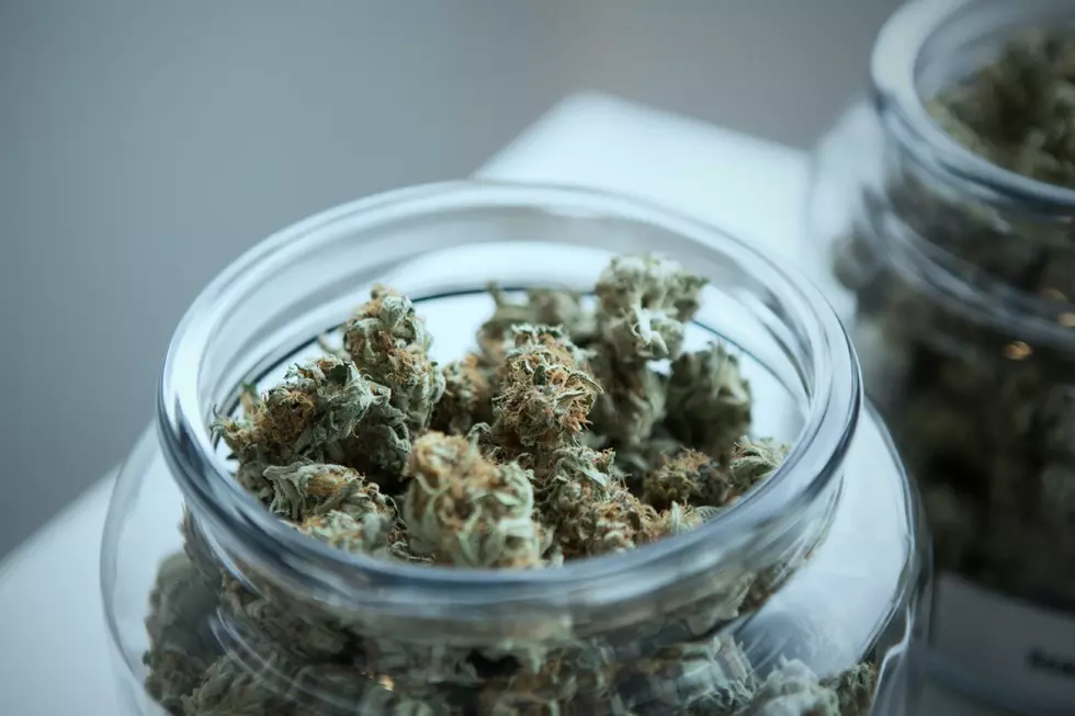 Who You Should Vote For if You Want Cannabis Legalized in Texas
