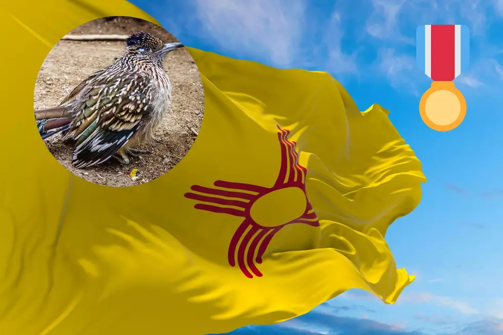 The Giant New Mexico Roadrunner That Made History 30 Years Ago