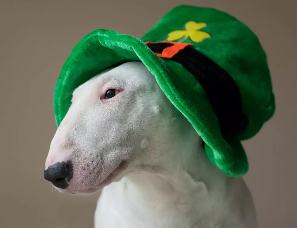 15 Irish Proverbs for El Pasoans on St Patrick’s Day