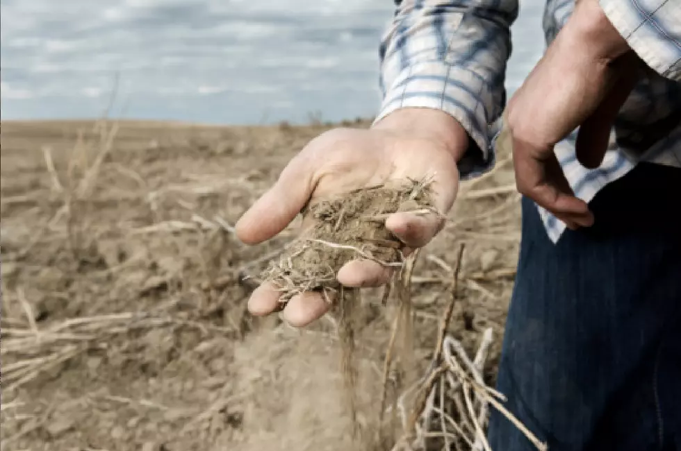 Scientists Find Disturbing Link Between Drought and Suicide
