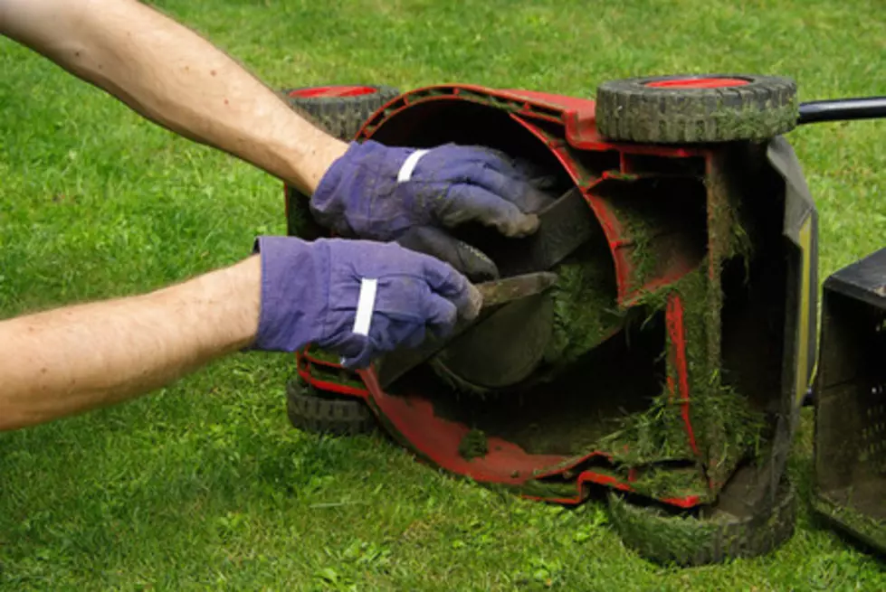 Golden Shield Yard Assistance Program Helps Senior Citizens in Las Cruces Maintain Their Yards