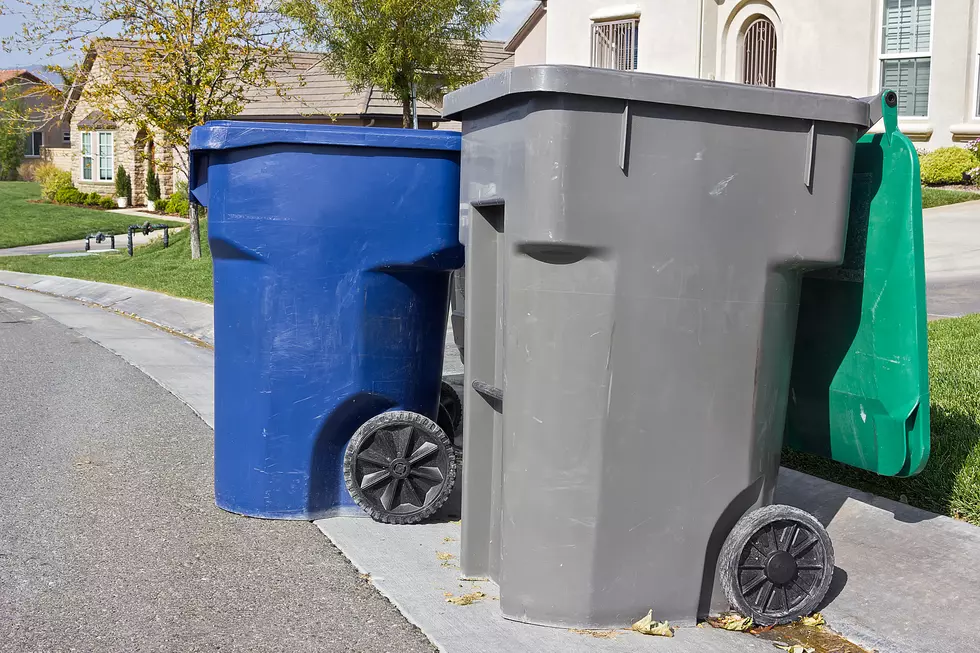 El Pasoans Asked to Clean Out Trash Bins To Help Reduce Odors