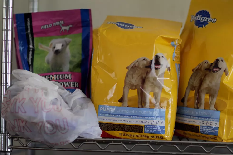 Two Pet Food Distribution Events This Week in El Paso