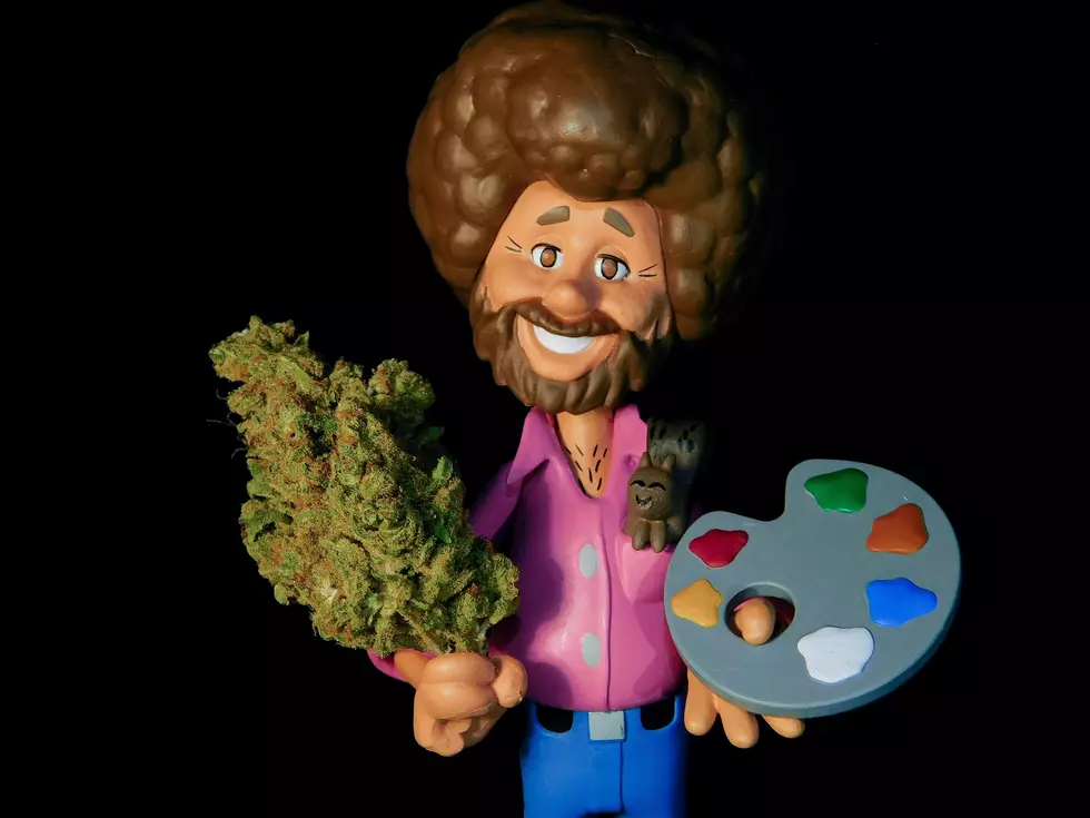 Hilarious Things El Pasoans Told Us They Did While High