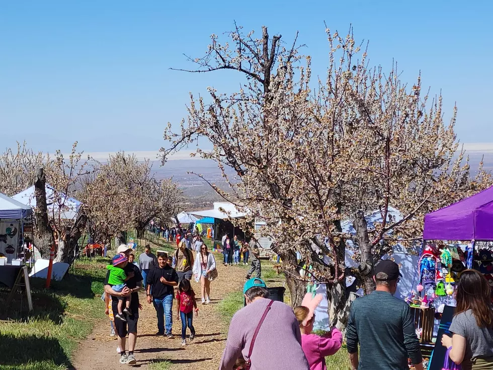 Savor the Sweetness of New Mexico’s Cherry Festival Father’s Day Weekend