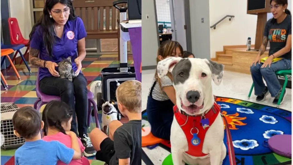Animal Lovers Invited To Read To Shelter Pets At ‘Kitty and Doggie Storytime’