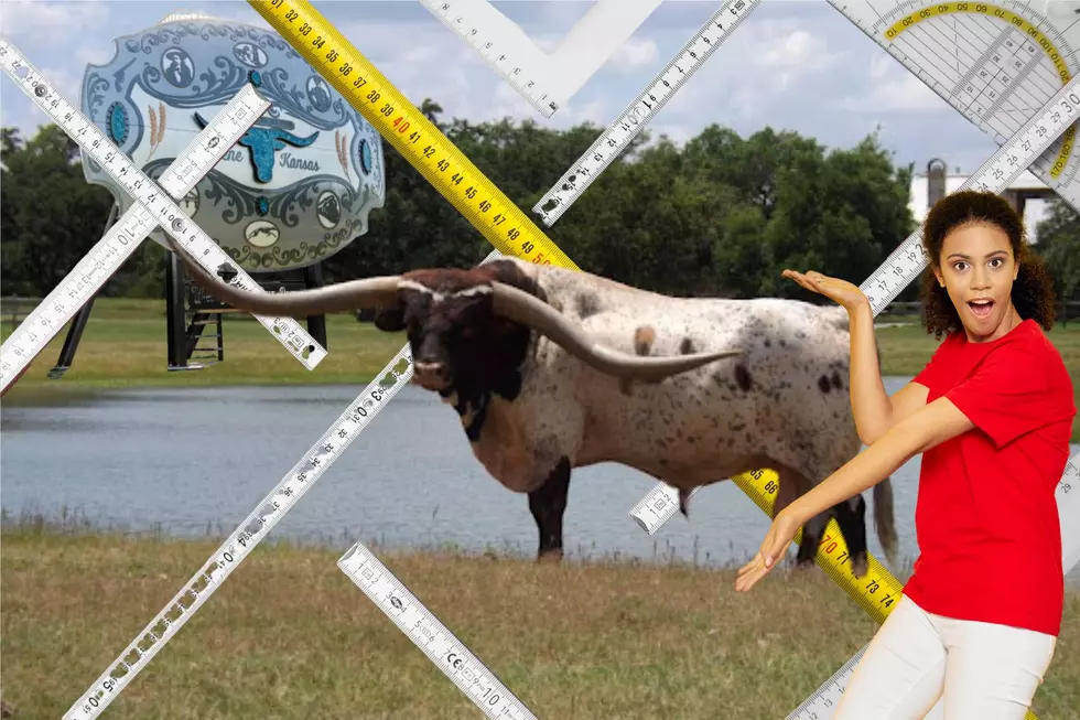 Everything Is Bigger In Texas: Even World Records