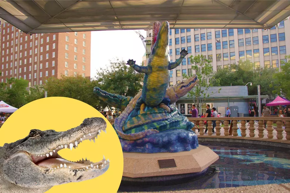The Story of The San Jacinto Gators