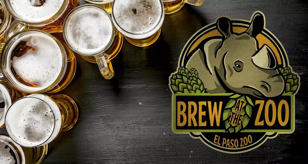 Sip Craft Beer Next to Lions and Tigers at This Texas Zoo Event!