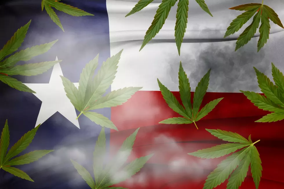 The Problem With Hemp Testing: Farmers and Scientists Speak Out