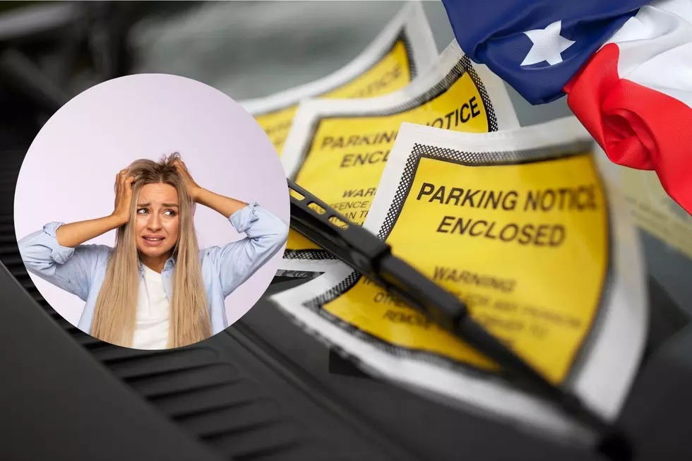 Amnesty Period For Unpaid Tickets Ends March 8th