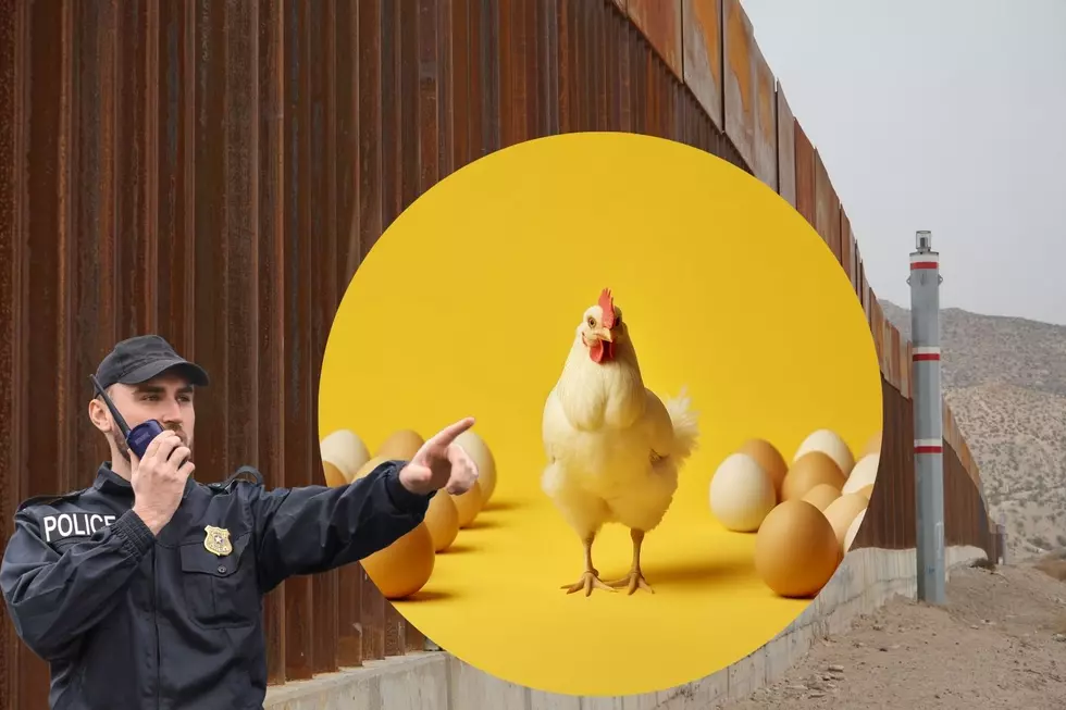 90+ People Caught At Texas Border Smuggling…Eggs??