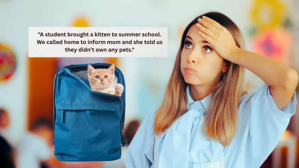 Texas Teachers Reveal the Wildest Items Found in Student Backpacks
