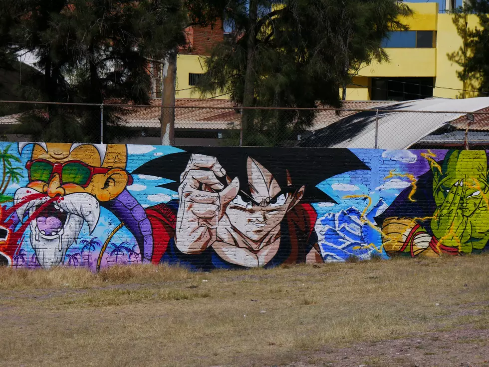 Did The Cartel Really Stop Fighting To Honor Dragonball Z?
