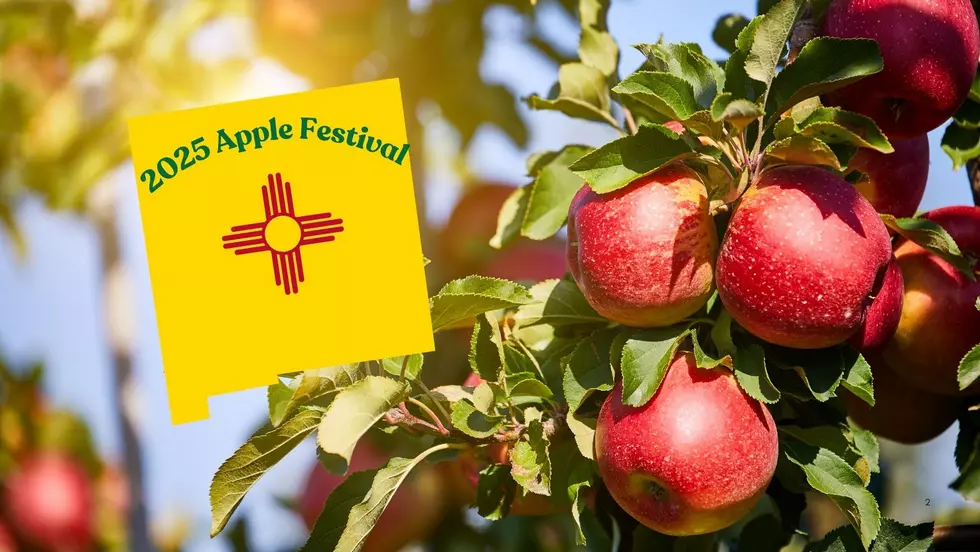 The 2025 Apple Festival Families Love in New Mexico