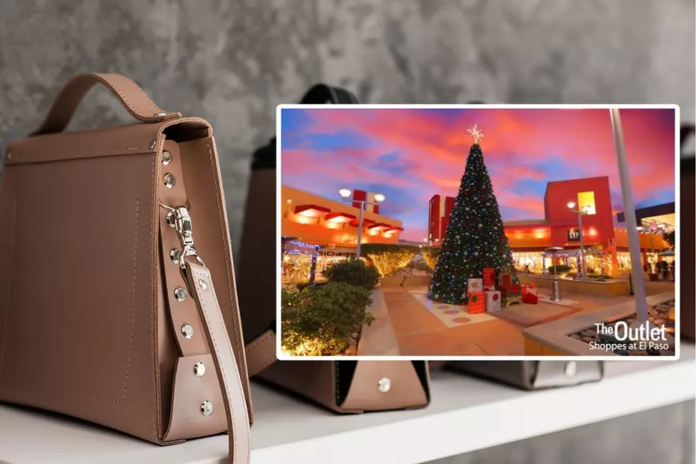 Great Purse Giveaway